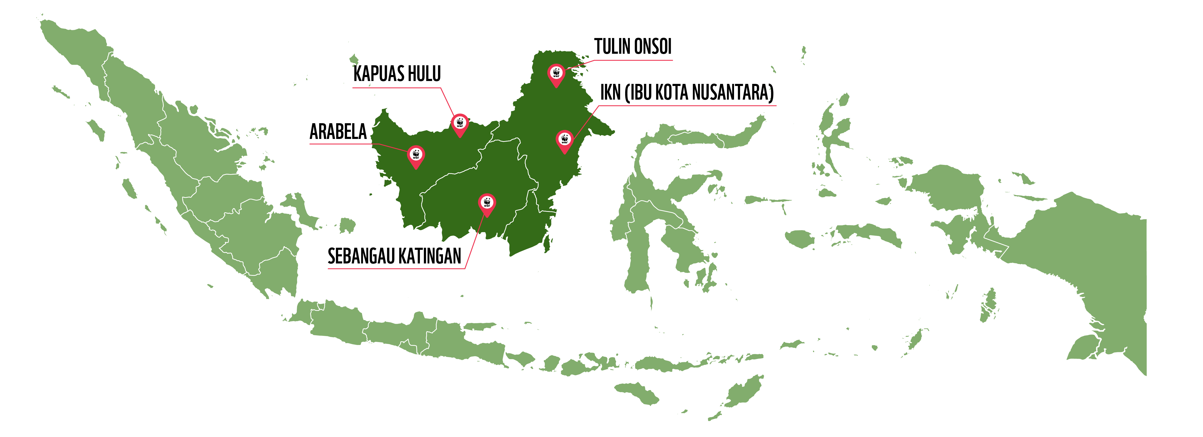 KALIMANTAN Global Environmental Conservation Organization WWF Indonesia